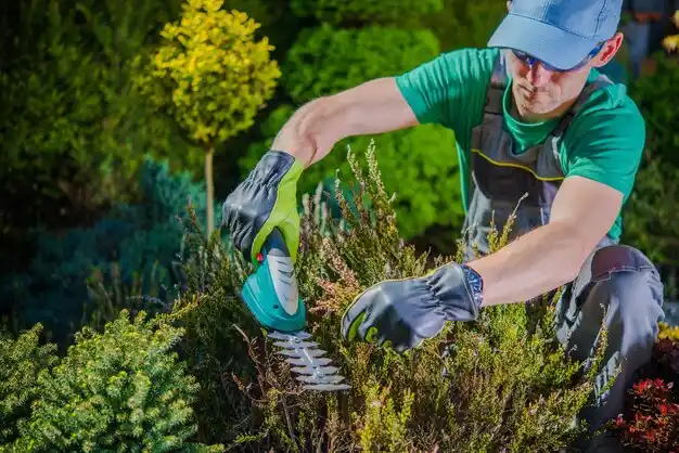 landscaping services Au Gres